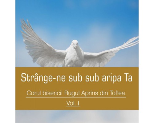 Corul bisericii Rugul Aprins din Toflea - Strânge-ne sub aripa Ta, Vol. 1