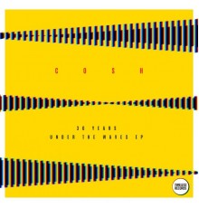 Cosh - 30 Years Under the Waves