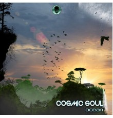 Cosmic Soul - Ocean