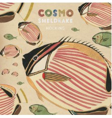 Cosmo Sheldrake - Hocking