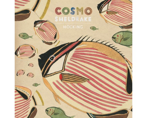 Cosmo Sheldrake - Hocking