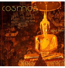 Cosmos - Silent Path