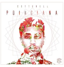 Cotterell - Poinciana