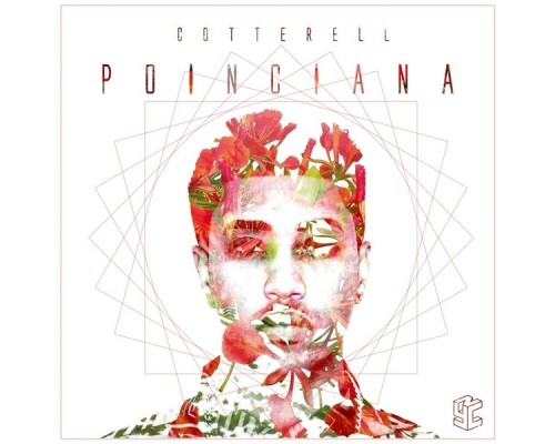 Cotterell - Poinciana