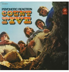 Count Five - Psychotic Reaction