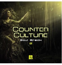 Counter Culture - Soul Break