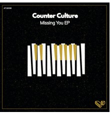 Counter Culture - Missing You EP