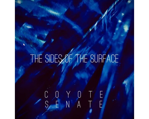 Coyote Senate - Through The Lens