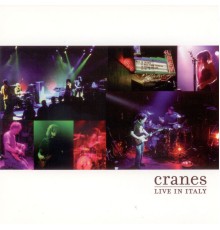 Cranes - Live in Italy