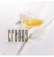 Cranes - John Peel Sessions (1989-1990)