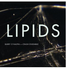 Crash Ensemble - Lipids