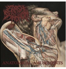 Crash Syndrom - Anatomical Amusements