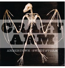 Crazy Arm - Ambertown/Sweet Storm