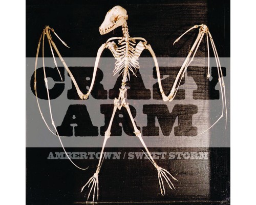 Crazy Arm - Ambertown/Sweet Storm