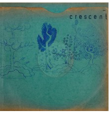 Crescent - Resin Pockets