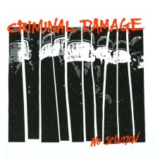 Criminal Damage - No Solution