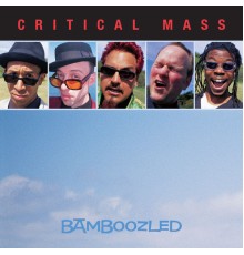 Critical Mass - Bamboozled