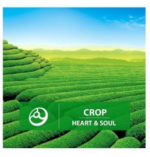 Crop - Heart & Soul