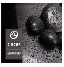 Crop - Moments