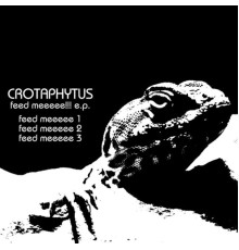 Crotaphytus - Feed Mee