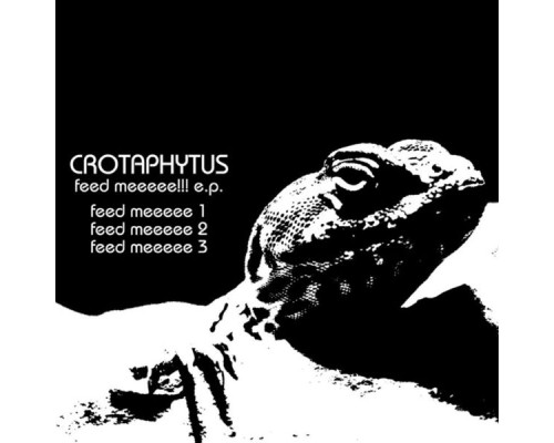 Crotaphytus - Feed Mee