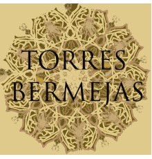 Cuadro Flamenco Torres Bermejas - Cuadro Flamenco Torres Bermejas