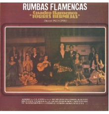 Cuadro Flamenco "Torres Bermejas" - Rumbas Flamencas
