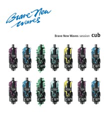 Cub - Brave New Waves Session