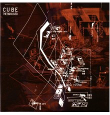 Cube - The Skin I Lived