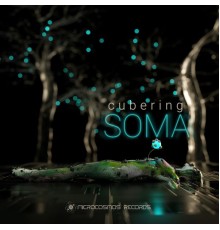 Cubering - Soma