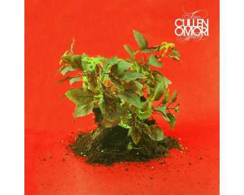 Cullen Omori - New Misery