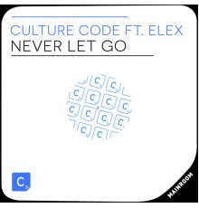 Culture Code - Never Let Go