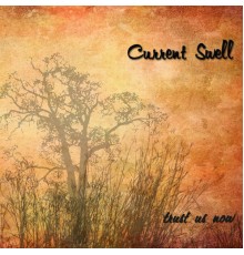 Current Swell - Trust Us Now