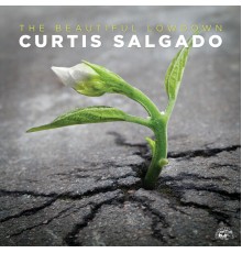 Curtis Salgado - The Beautiful Lowdown