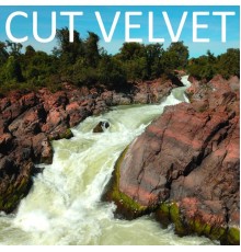 Cut Velvet - Cut Velvet