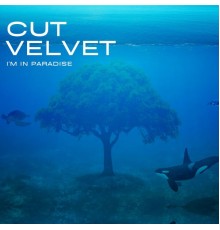 Cut Velvet - I'm in Paradise