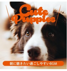 Cute Puppies, Keiko Takada - 朝に聴きたい過ごしやすいbgm