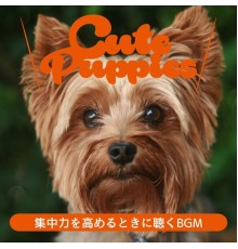 Cute Puppies, Keiko Takada - 集中力を高めるときに聴くbgm