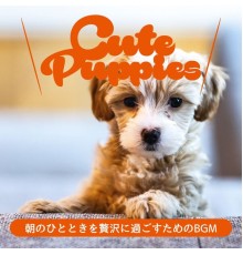 Cute Puppies, Keiko Takada - 朝のひとときを贅沢に過ごすためのbgm