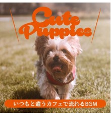 Cute Puppies, Keiko Takada - いつもと違うカフェで流れるbgm