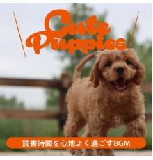 Cute Puppies, Keiko Takada - 読書時間を心地よく過ごすbgm