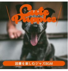 Cute Puppies, Keiko Takada - 読書を楽しむジャズbgm