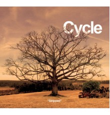 Cycle - Stripped (Acoustic Version)