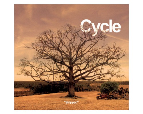 Cycle - Stripped (Acoustic Version)