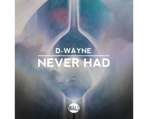 D-wayne - Never Had