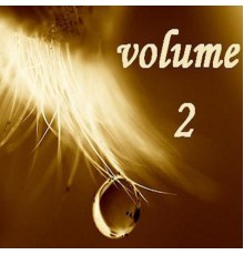 D - Volume 2