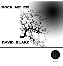 DAVID BLAKE - Rock Me EP