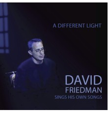 DAVID FRIEDMAN - A Different Light