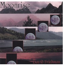 DAVID FRIEDMAN - Moonrise