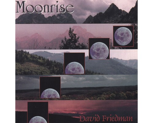 DAVID FRIEDMAN - Moonrise